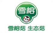 雪(xue)榕